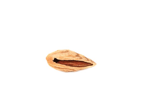 Almonds in shell isolated on white background