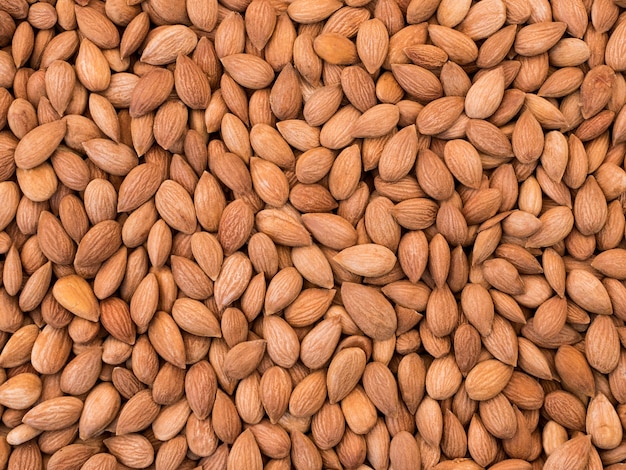 Almonds texture, nut background. Top view.