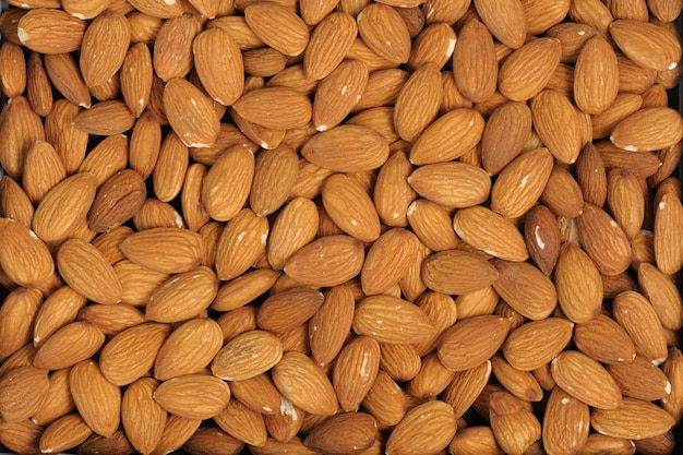 Photo almonds