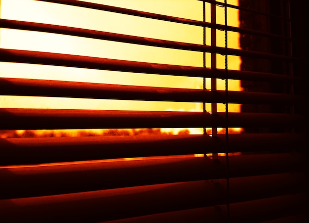 Almost closed blinds during sunset background