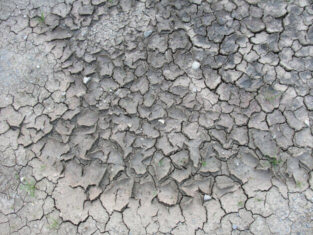 Photo almost dry soil