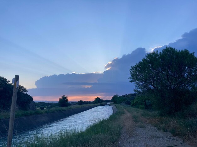 Almunia de san juan