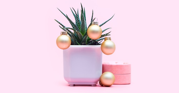 Foto aloë concept met kerstballen, copyspace