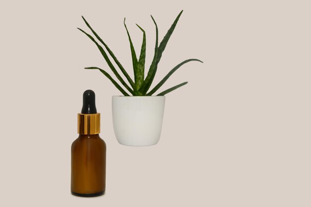 Aloe essential oil Skin care concept Health beauty and spa care