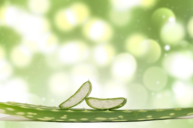 Premium Photo | Aloe flower leaves on bokeh background closeup