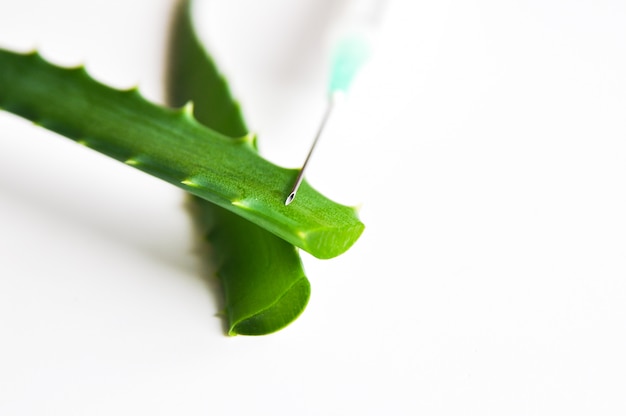 Photo aloe stems and syringe needle on white background. the secret of youth and beauty.