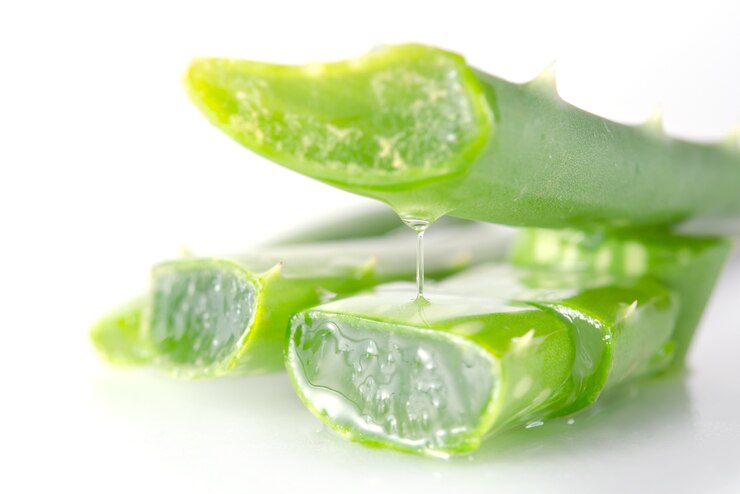 Photo aloe vera close-up view isolated on white background 
