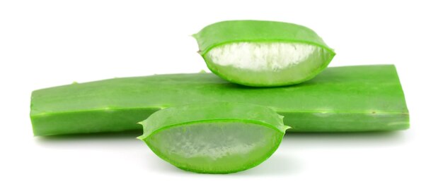 Aloe vera close-up