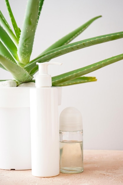 Aloe vera and composition of body care and beauty products on a colour background vertically