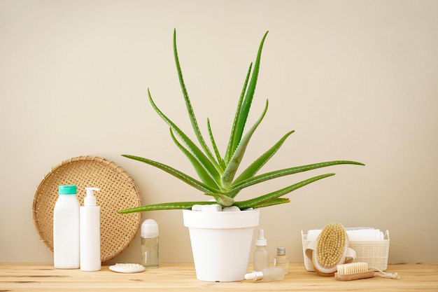 Aloe vera and composition of body care and beauty products on a wooden table