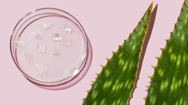 aloe vera and cosmetic ingredients, aloe petri dishes, cosmetic research, sliced aloe, aloe juice