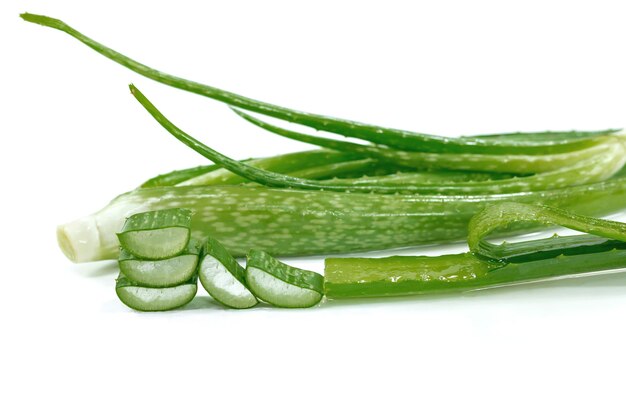 Aloe vera, cut into slices on a white background