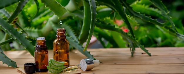 Aloe vera essential oil drips into the bottle from the stem