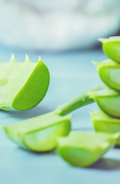 Aloe Vera extract in a small bottle and pieces on the table. Selective focus.