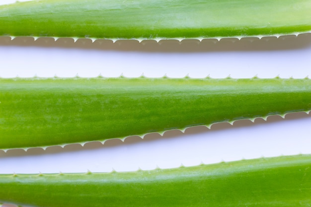 Foto foglie fresche di aloe vera su bianco