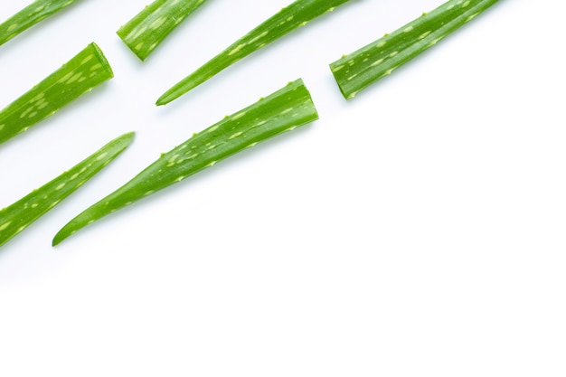 Aloe vera is a popular medicinal plant for health and beauty,\
on a white background.