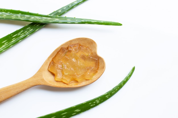 Aloe vera is a popular medicinal plant for health and beauty, white background.