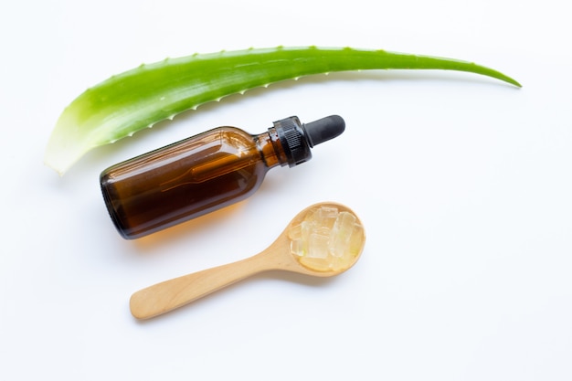 Aloe vera is a popular medicinal plant for health and beauty, white background.