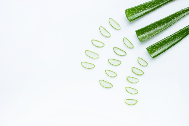 Aloe vera is a popular medicinal plant for health and beauty, on white background. 