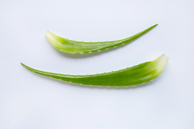 Aloe vera is a popular medicinal plant for health and beauty, white background.