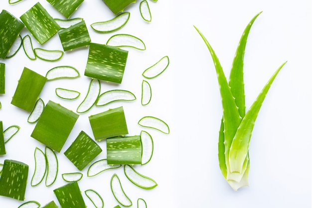 Aloe vera is a popular medicinal plant for health and beauty