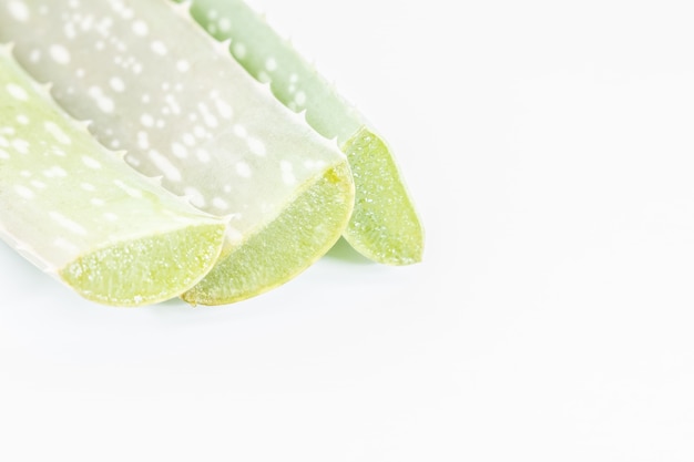 aloe vera isolated