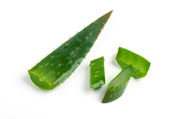 Aloe vera isolated