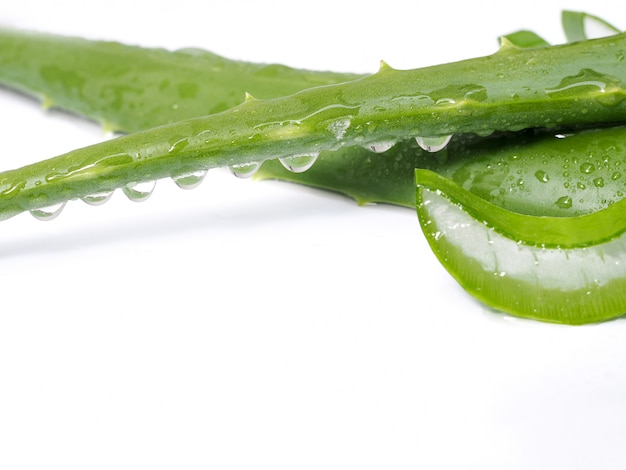 Foglia di vera dell'aloe con goccia di acqua isolata su fondo bianco.