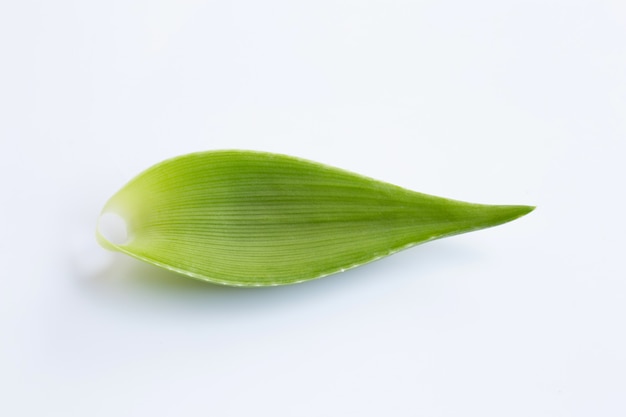 Aloe vera leave on white