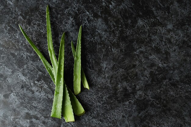 Aloe vera leaves on black smokey background