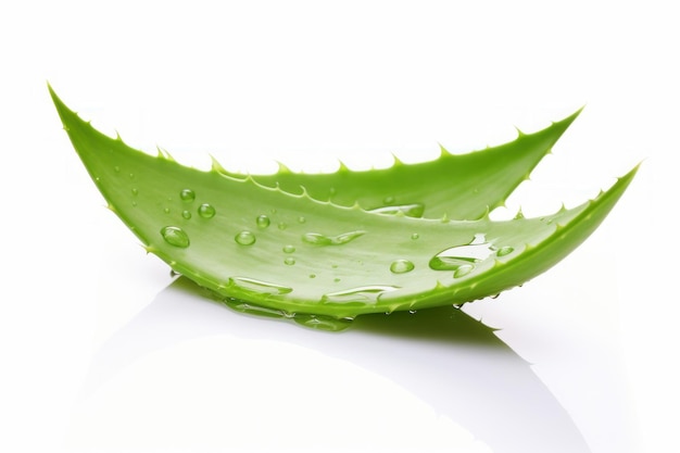 Aloe vera leaves Green drop Generate Ai