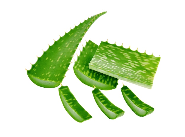 Aloe Vera leaves isolated