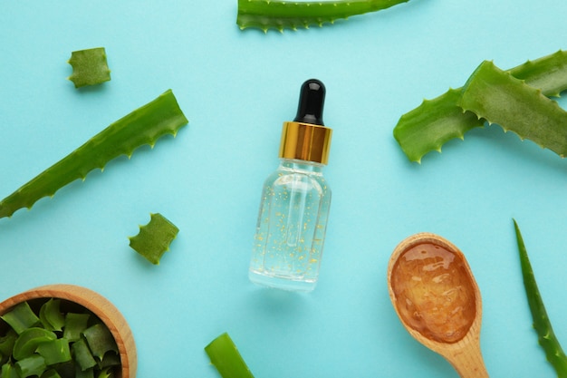 Aloe vera and oil bottle on blue background. Top view.