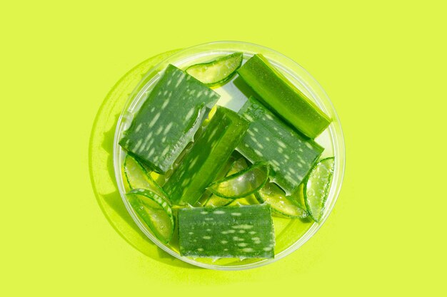 Aloe vera in petri dish on green background