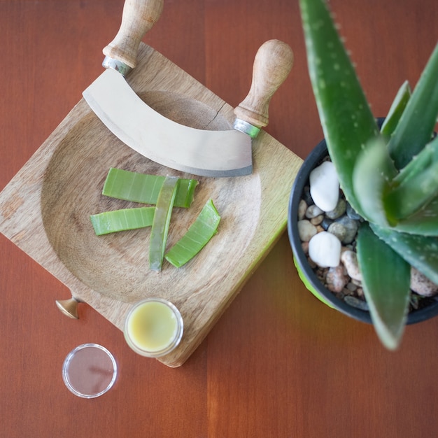 Aloe vera, plant, cream, knife