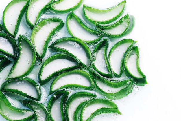 Aloe Vera plant macro background. Beauty concept.