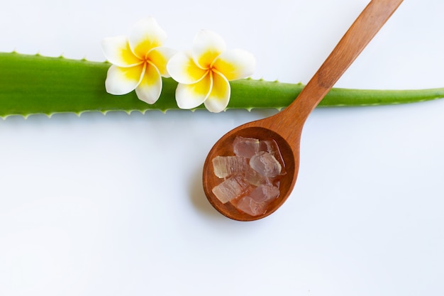 Aloe vera and Plumeria flower on white