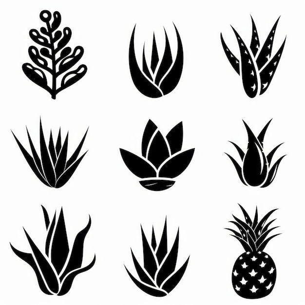 Aloe Vera Pot Plant Icon Set Aloe Plant Black White Design Abstract Aloe Symbol Simple Pot Flowers Isolated