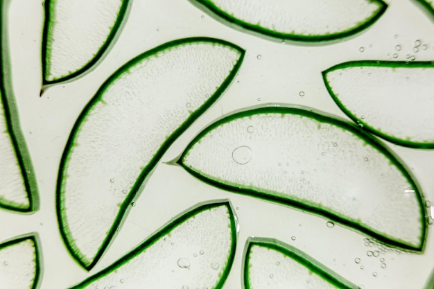 aloe vera slice texture background medicinal plant used to treat and to make a cream flat lay top