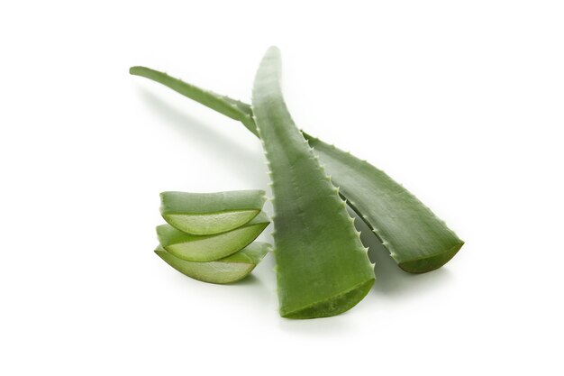 Aloe vera slices and leaves isolated on white background