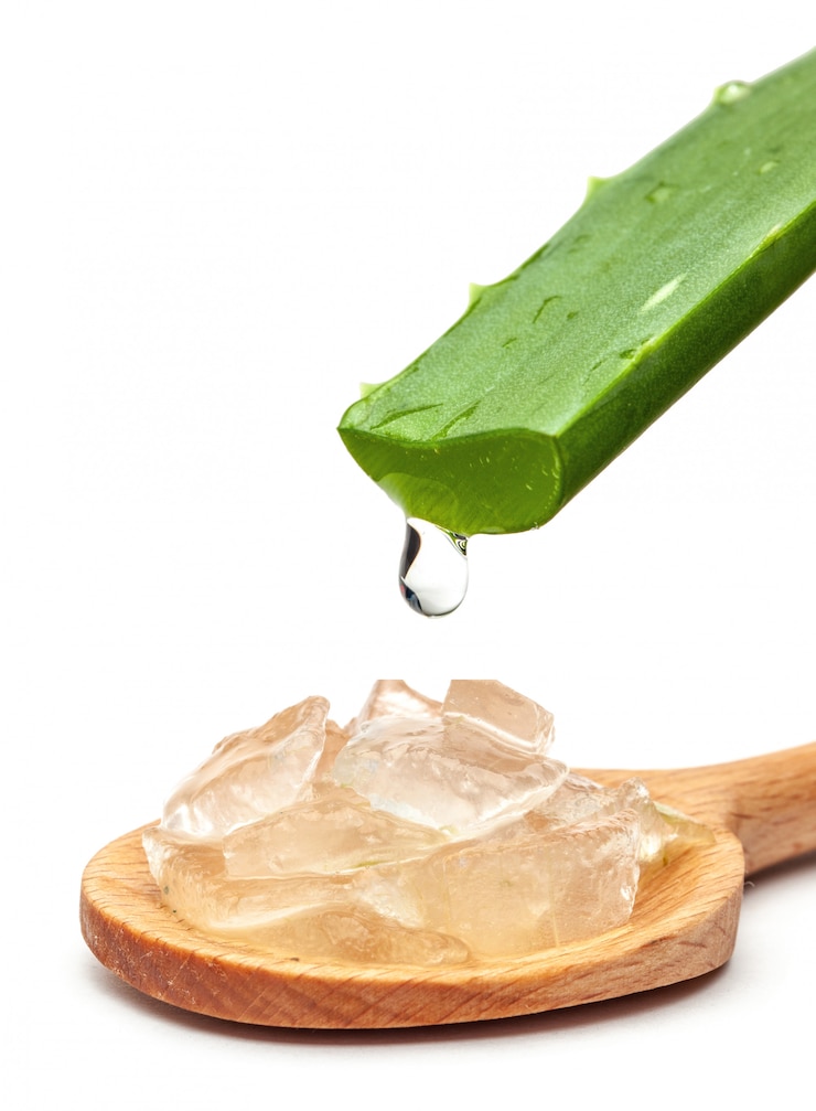 Photo aloe vera slices and pulp slices isolated on a white.