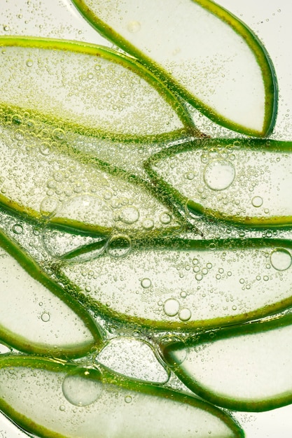 Aloe vera textured slices on white background