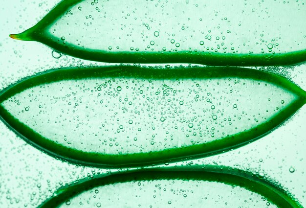 Fette strutturate di aloe vera con acqua frizzante o gel su sfondo bianco