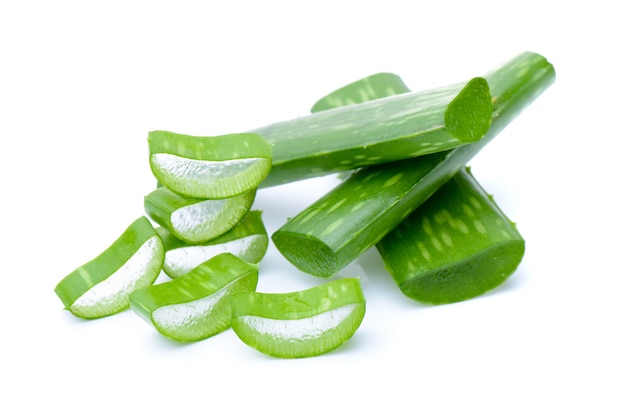 Aloe vera on white wall