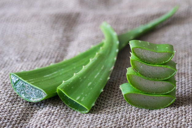 Aloe vera