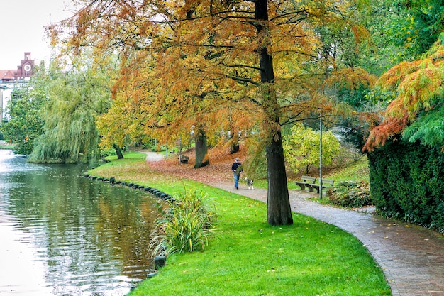 An alone elderly man is walking with a dog on the lake shore of Lubeck, Germany