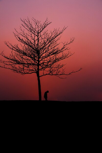 Foto solo nella natura