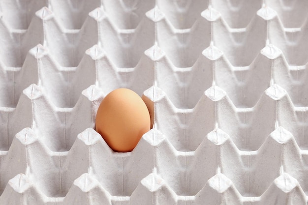 Alone perfect chicken brown egg in cell of egg box concept of loneliness