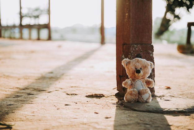 Photo alone teddy bear out door vintage dark tone style