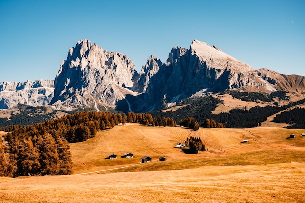 Foto alpe di siusi seiser alm langkofel berggroep landschap van alpine rode herfst alpe di siusi wandelen natuurlandschap in de dolomieten houten chalets in de dolomieten trentino alto adige